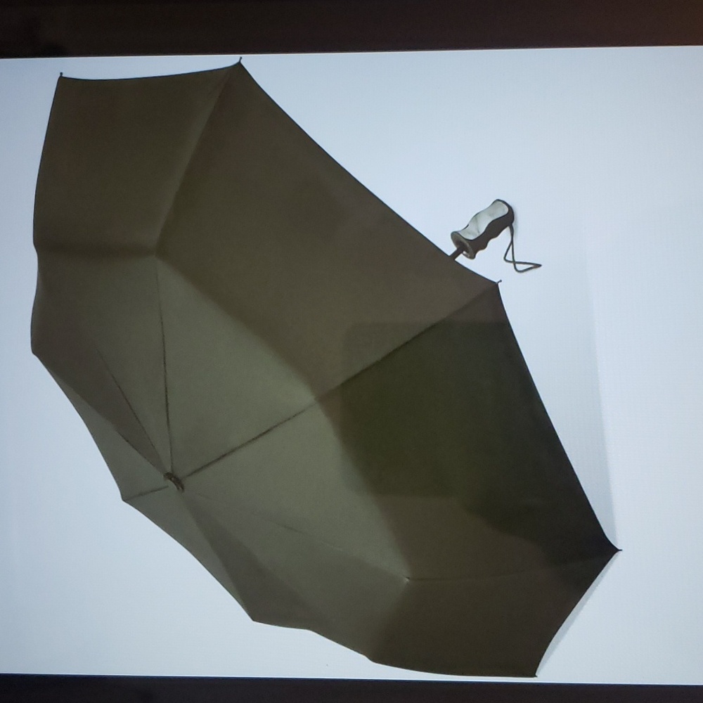 The Weather Station oversize Automatic Umbrella
